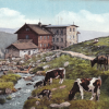 Krkonoše - Labská bouda 1914